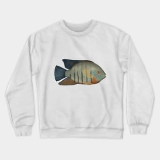 Red Tiger Severum Crewneck Sweatshirt